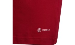 Adidas koszulka młodzieżowa Ent22 Tee Y Red HC0446