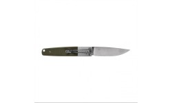 Nóż składany Ganzo Firebird G7211-GR