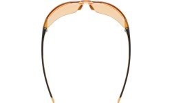 Okulary Uvex Equate smoke-orange / orange