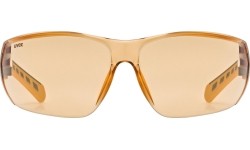 Okulary Uvex Equate smoke-orange / orange