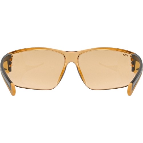 Okulary Uvex Equate smoke-orange / orange