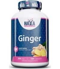 Haya Labs Ginger (imbir), 120 kaps.