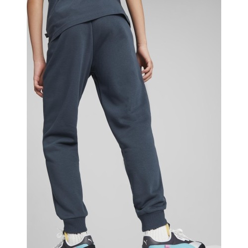 Puma spodnie młodzieżowe Ess + 2 Col Logo Pants Blue 586988 16