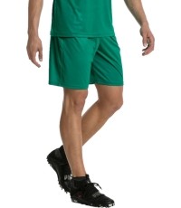 Spodenki piłkarskie Puma Liga Core, Pepper Green