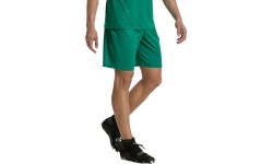 Spodenki piłkarskie Puma Liga Core, Pepper Green