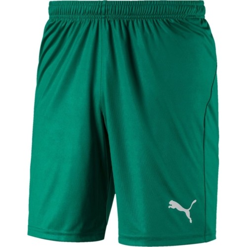 Spodenki piłkarskie Puma Liga Core, Pepper Green