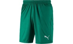 Spodenki piłkarskie Puma Liga Core, Pepper Green
