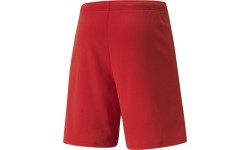 Puma Teamrise męskie spodenki sportowe, czerwone 704942 01