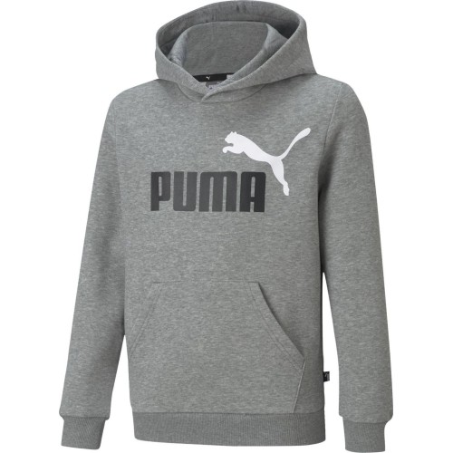 Puma Ess+ 2 Col Big Logo bluza młodzieżowa szara 586987 03