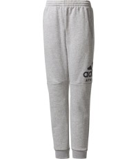 Spodnie młodzieżowe Adidas YB SID Pants Grey CF2457