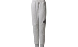 Spodnie młodzieżowe Adidas YB SID Pants Grey CF2457