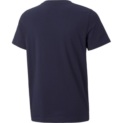 Koszulka młodzieżowa Puma Alpha Graphic Tee, niebieska 847292 06
