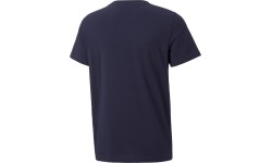 Koszulka młodzieżowa Puma Alpha Graphic Tee, niebieska 847292 06