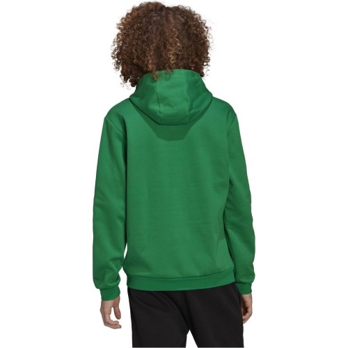 Adidas Ent22 Hoody bluza męska, zielona HI2141