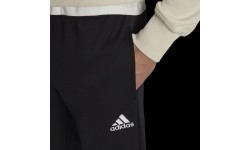 Spodnie męskie Adidas Ent22 Tr Pant, czarne HC0332