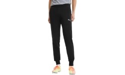 Spodnie męskie Puma TeamGoal 23 Casuals Pants Black