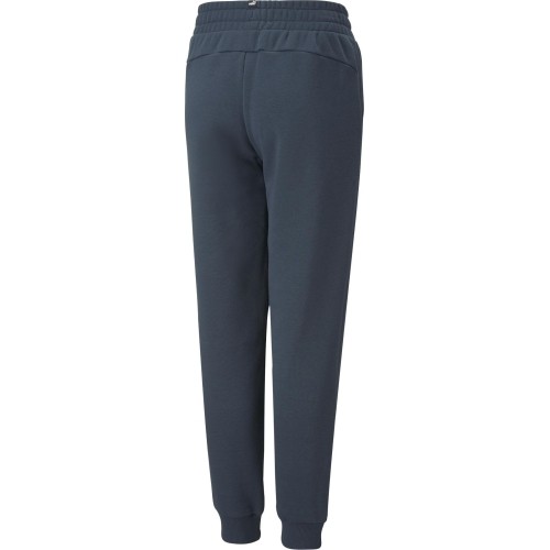 Puma spodnie młodzieżowe Ess + 2 Col Logo Pants Blue 586988 16