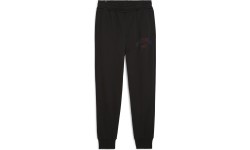 Spodnie dresowe męskie Puma Ess+ Logo Lab Sweatpants FL, czarne 681776 01