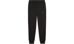 Spodnie dresowe męskie Puma Ess+ Logo Lab Sweatpants FL, czarne 681776 01
