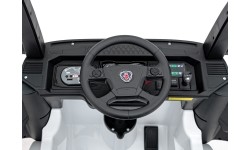 Scania R-SERIE vehicle White