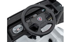 Scania R-SERIE vehicle White