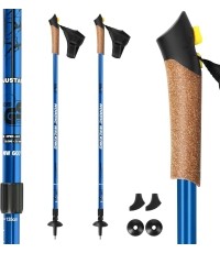 Kije do nordic walkingu NW607 NILS