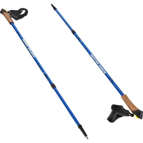 Kije do nordic walkingu NW607 NILS