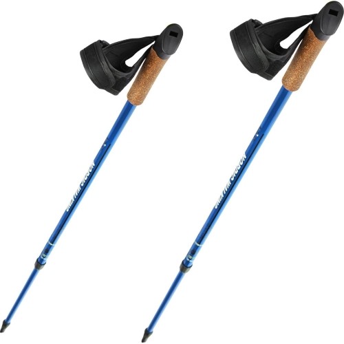Kije do nordic walkingu NW607 NILS