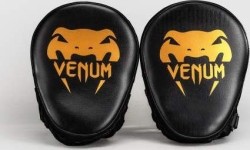 Venum Light Focus Mitts - Black/Gold (Pair)