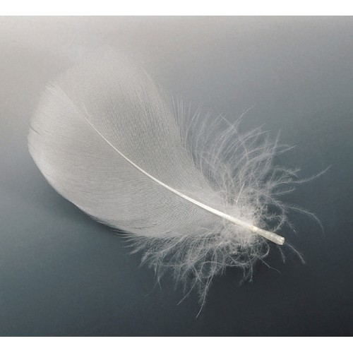 EuroSchirm Umbrella 'Swing Liteflex'