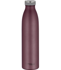 Thermos Drinking Bottle 'TC Bottle'
