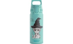 Aluminiowy bidon SIGG 'WMB One'