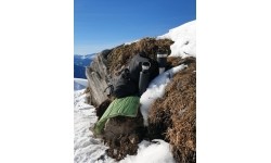 Butelka termiczna izolowana Origin Outdoors Insulated Active - 0,75 l, czarny matowy