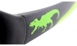 ActiveSol Sunglasses