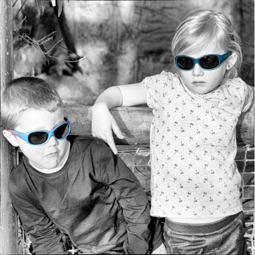 ActiveSol Sunglasses
