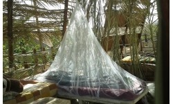 Brettschneider Mosquito net 'Holiday Renets'