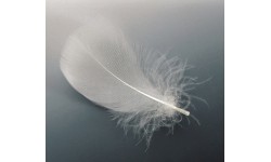 EuroSchirm Umbrella 'Swing Liteflex'