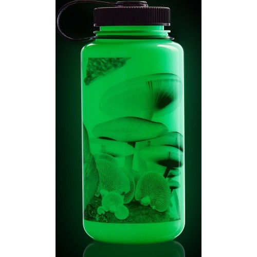 Drinking Bottle 'WM'
