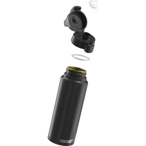 SIGG Alu drinking bottle 'WMB One'
