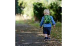 Littlelife Plecak dla malucha Żółw