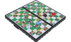 Magnetic Ladder Board Game