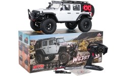Car R/C WILDERNESS RTR 1:10 White