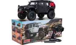 Car R/C WILDERNESS RTR 1:10 Black