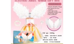 Little Princess Set with Dress + Angel Wings