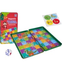 Magnetic Ladder Game
