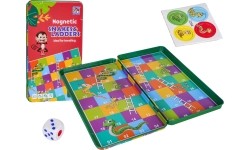Magnetic Ladder Game