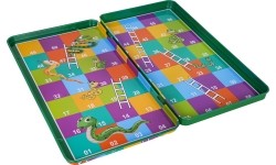 Magnetic Ladder Game