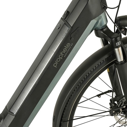 Rower elektryczny Prophete Geniesser 4.0 28" 7-biegowy, rozmiar ramy 19" (48 cm), czarno-zielony