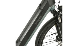 Rower elektryczny Prophete Geniesser 4.0 28" 7-biegowy, rozmiar ramy 19" (48 cm), czarno-zielony
