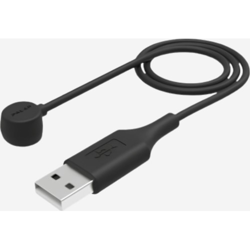 POLAR M600/LOOP krovimo laidas